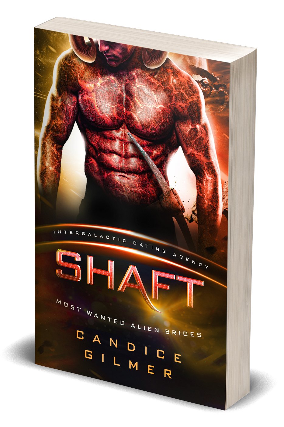 IDA - Shaft - Candice Gilmer Books